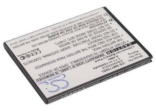 Batteria agli ioni litio - ioni, di