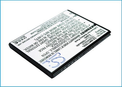 Batteria agli ioni litio - ioni, di